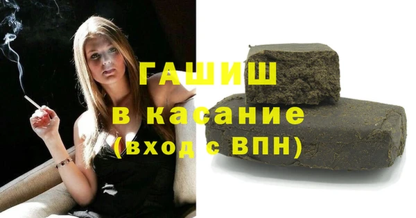 прущие грибы Волоколамск