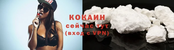 прущие грибы Волоколамск