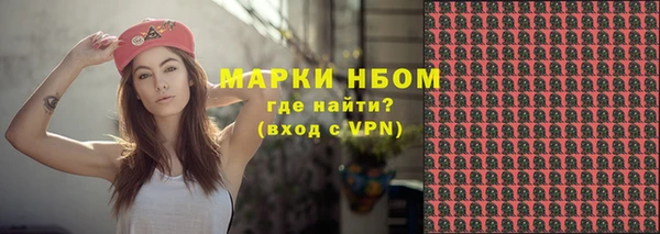 прущие грибы Волоколамск
